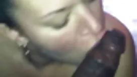 Gli antenati vanno a ...